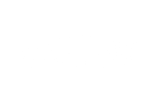 לובינסקי (1)
